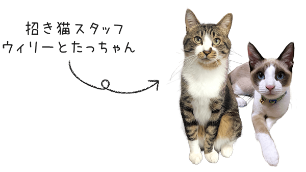 招き猫スタッフ